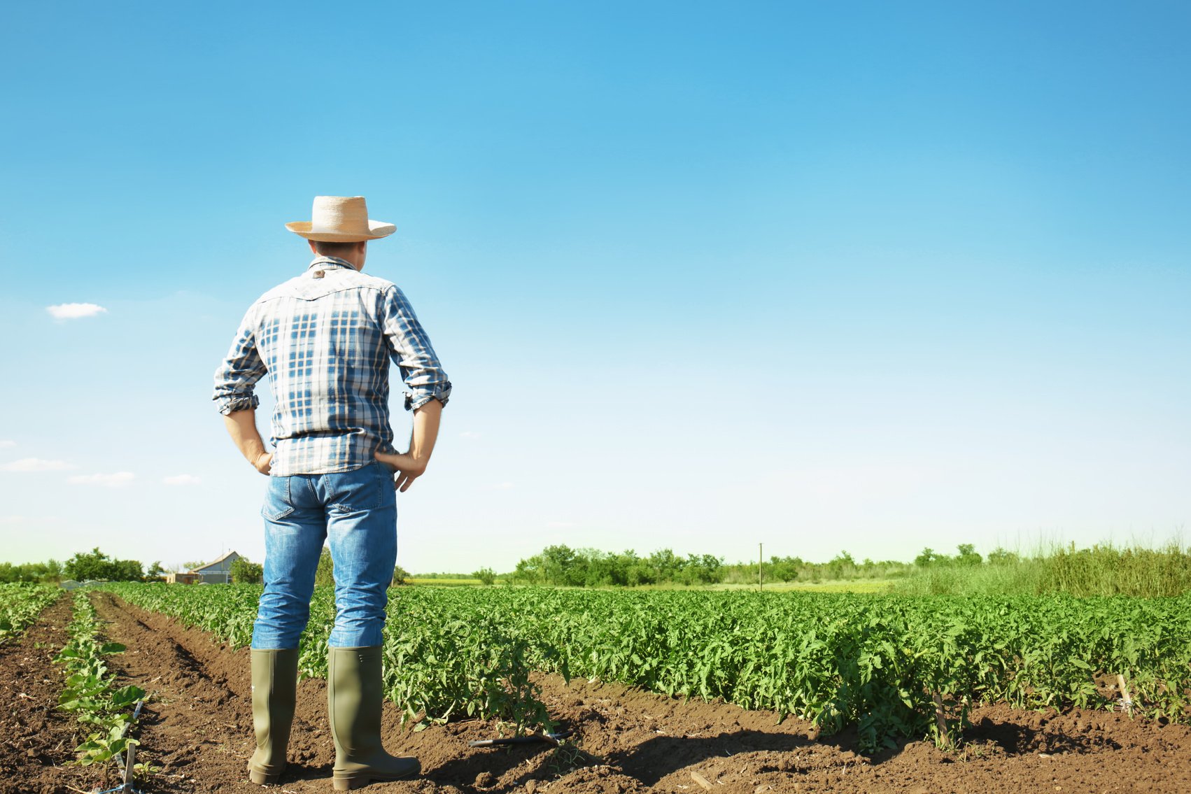 A Farmer Looking at His Crops